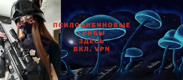 бошки Алзамай