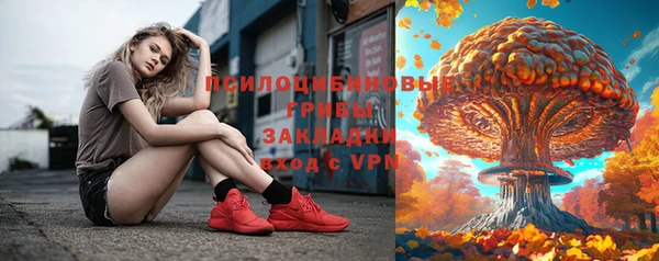 бошки Алексин