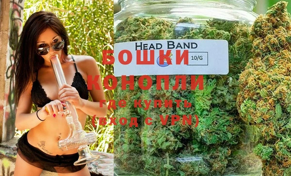 индика Алексеевка
