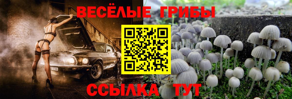 Псилоцибиновые грибы мухоморы  Вход с VPN  Зеленокумск  Галлюциногенные грибы мицелий 